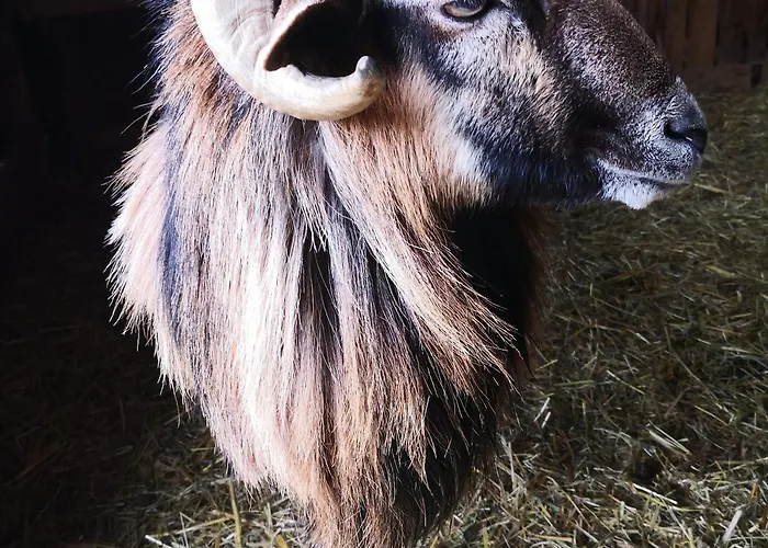 Au Gres Des Vosges